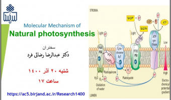 برگزاری وبینار Molecular Mechanism of Natural Photosynthesis