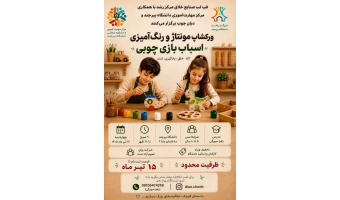 ورکشاپ مونتاژ و رنگ آمیزی اسباب بازی چوبی