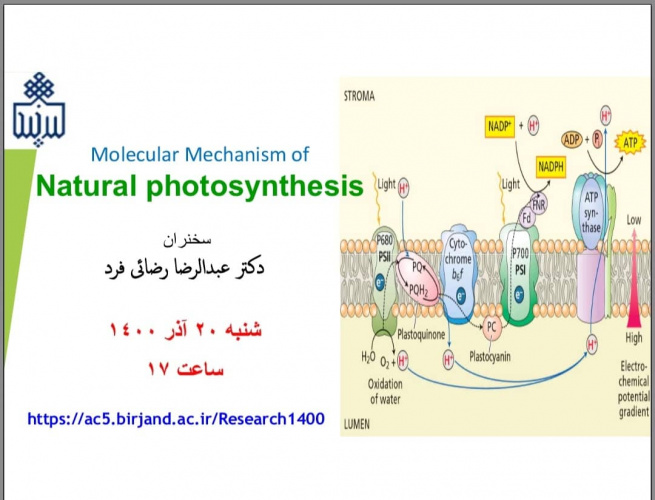 برگزاری وبینار Molecular Mechanism of Natural Photosynthesis