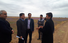 بازدید دکتر احمد خامسان رئیس دانشگاه بیرجند از آموزشکده کشاورزی سرایان