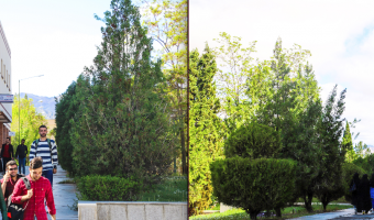 دانشکده علوم، پردیس علوم پایه، دانشگاه بیرجند