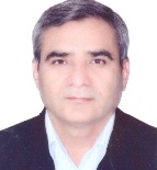 دکتر محمدحسین زرین کوب