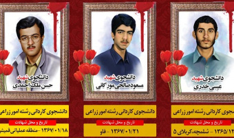 شهدای دانشگاه