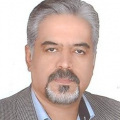 Hossein Farzanehpour