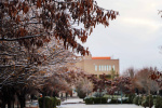 گزارش تصویری از یک روز برفی در دانشگاه بیرجند