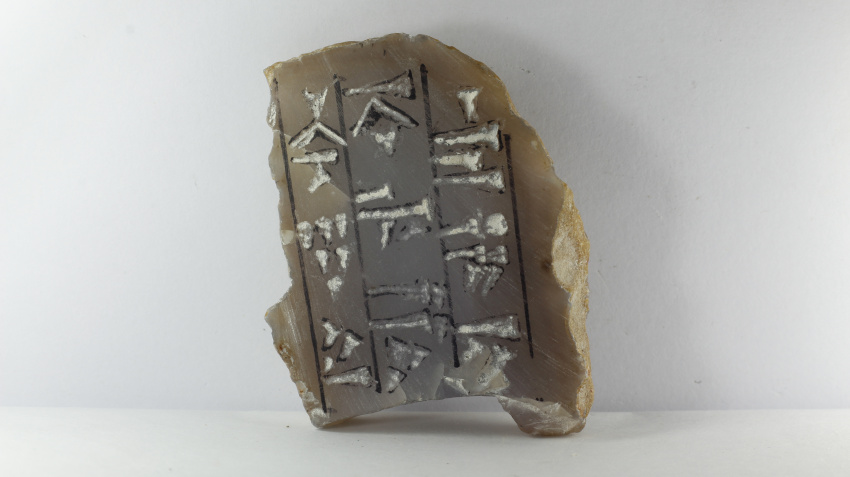 اهدای مجموعه نفیس سنگ های قیمتی و زینتی به موزه دانشگاه بیرجند