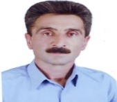 مهدی قلی نژاد